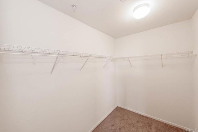 MLS #PTP2504234 image #18