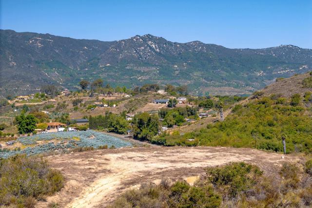 MLS #PTP2504553 image #27