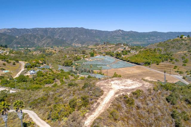 MLS #PTP2504553 image #6