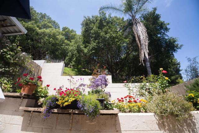 MLS #PTP2504632 image #15