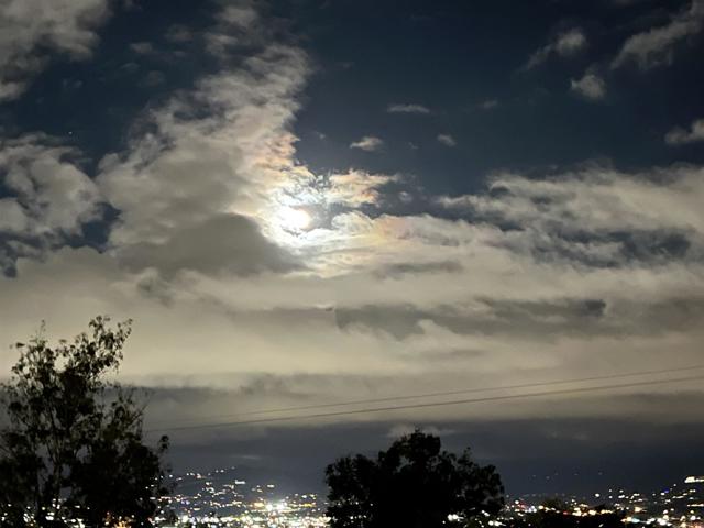 MLS #PTP2504632 image #26