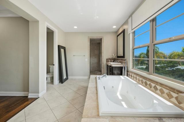 MLS #PTP2504642 image #62