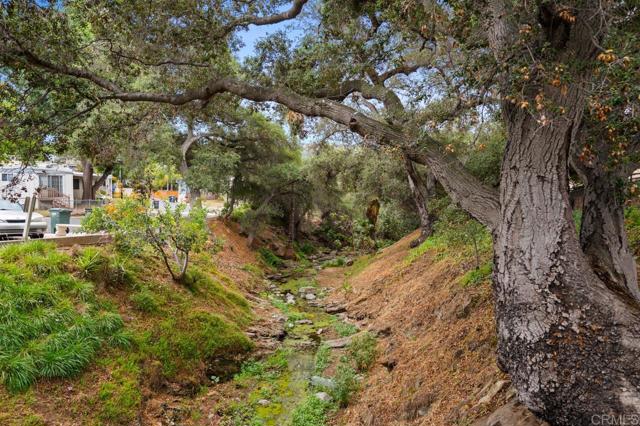 MLS #PTP2504774 image #28