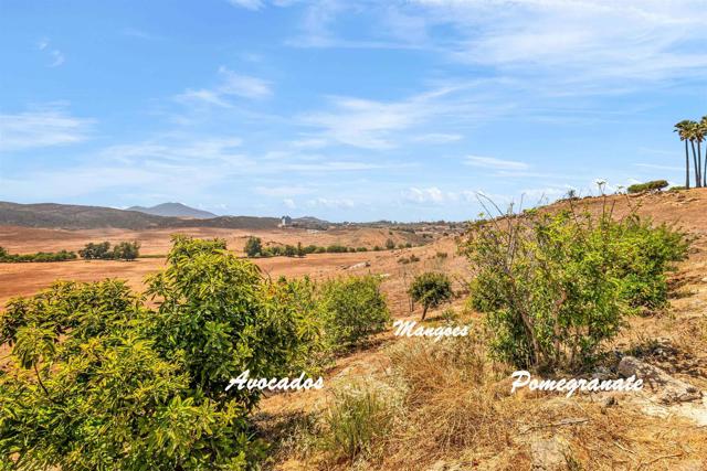 MLS #PTP2504937 image #49