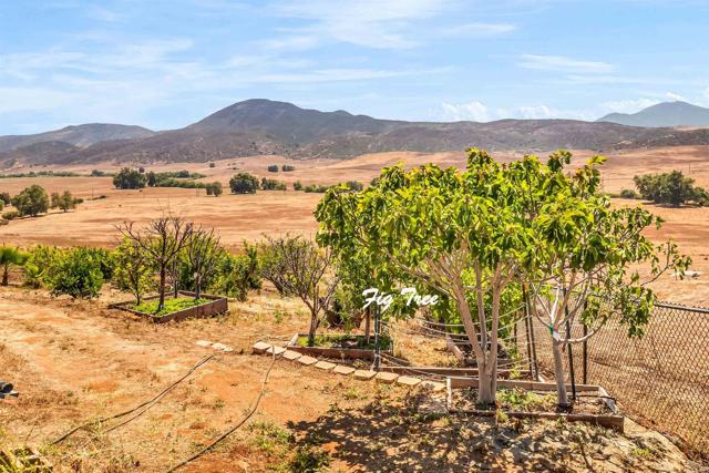 MLS #PTP2504937 image #50