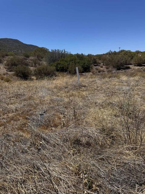 MLS #PTP2505096 image #6
