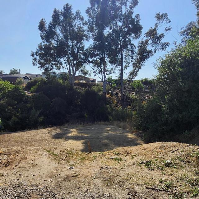 MLS #PTP2505266 image #4