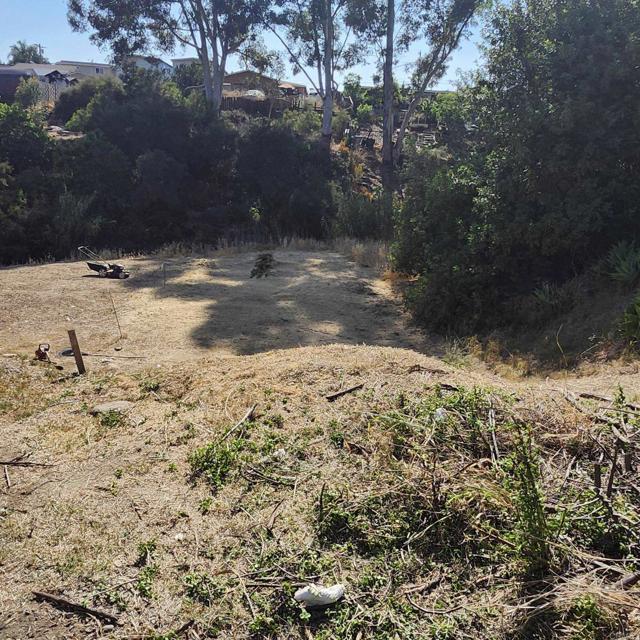 MLS #PTP2505266 image #8