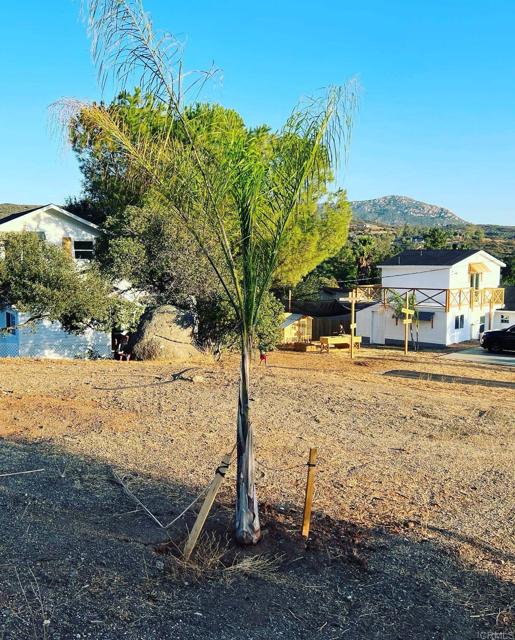 MLS #PTP2505295 image #68