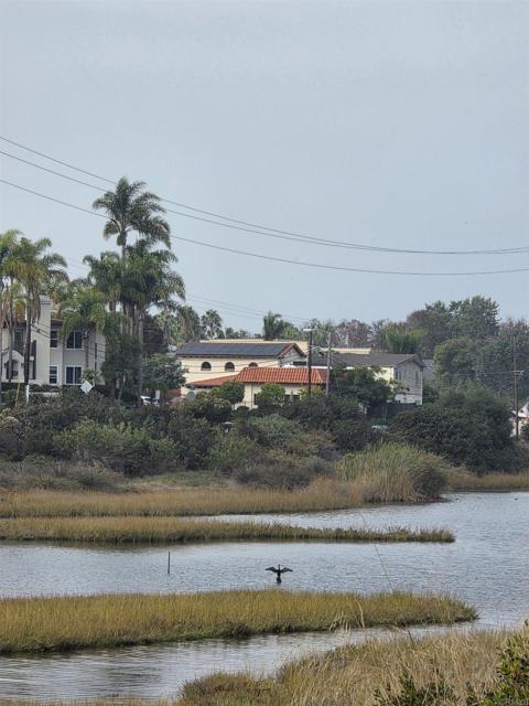 MLS #PTP2505359 image #35