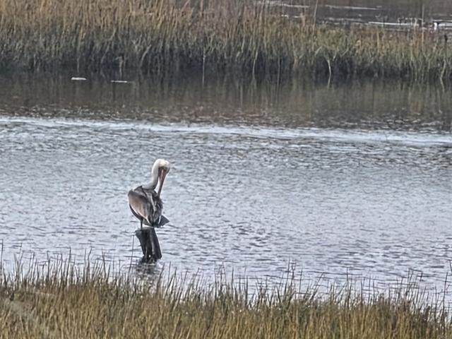 MLS #PTP2505359 image #36