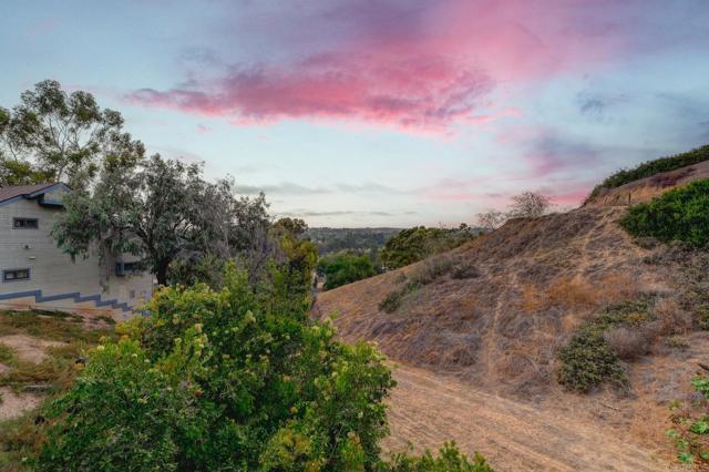 MLS #PTP2505445 image #20