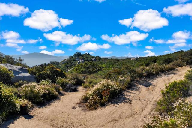 MLS #PTP2505486 image #11