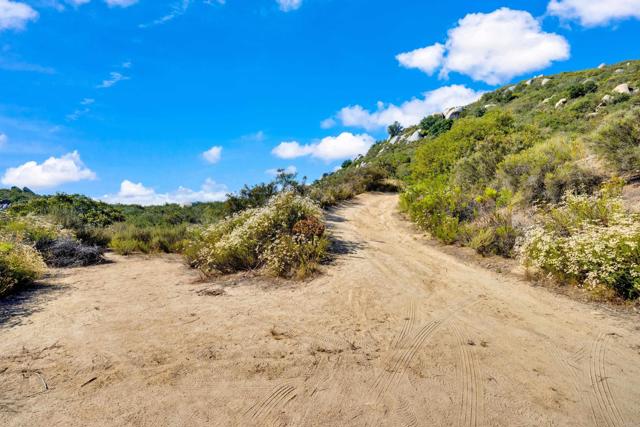 MLS #PTP2505486 image #12