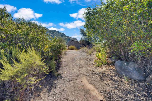 MLS #PTP2505486 image #17