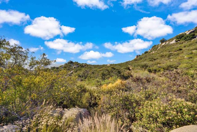 MLS #PTP2505486 image #21