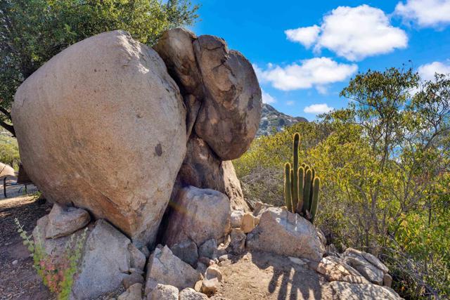 MLS #PTP2505486 image #22