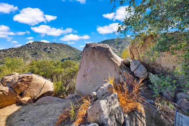 MLS #PTP2505486 image #23