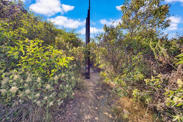 MLS #PTP2505486 image #36