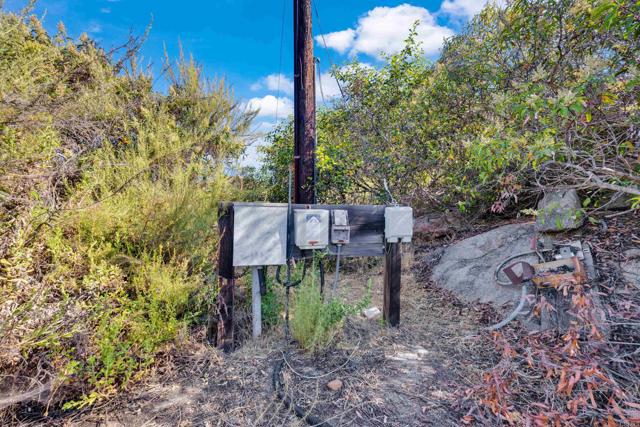 MLS #PTP2505486 image #37