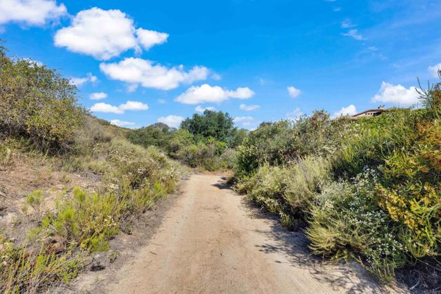 MLS #PTP2505486 image #7