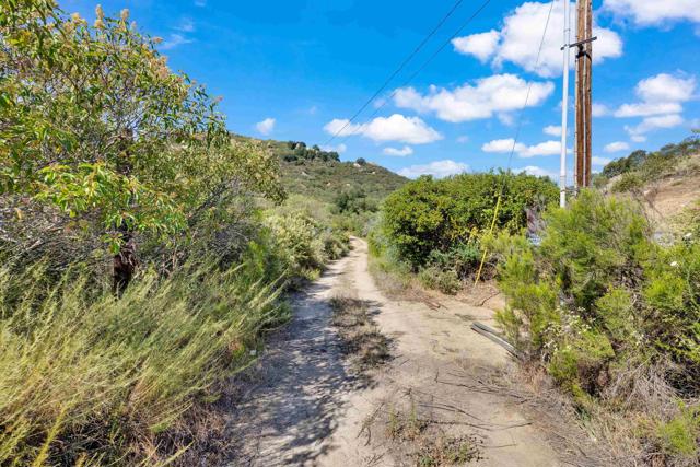 MLS #PTP2505486 image #9