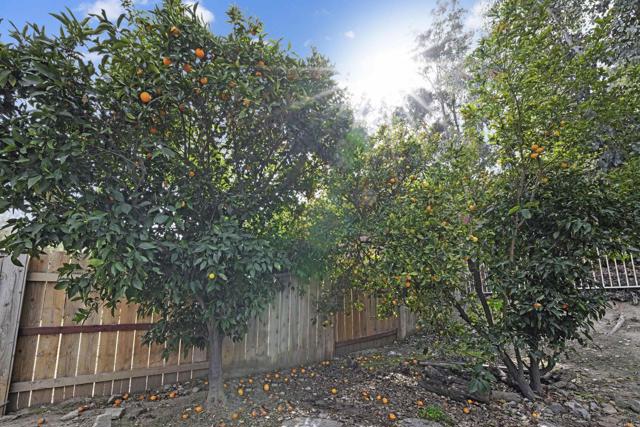 MLS #PTP2505514 image #48