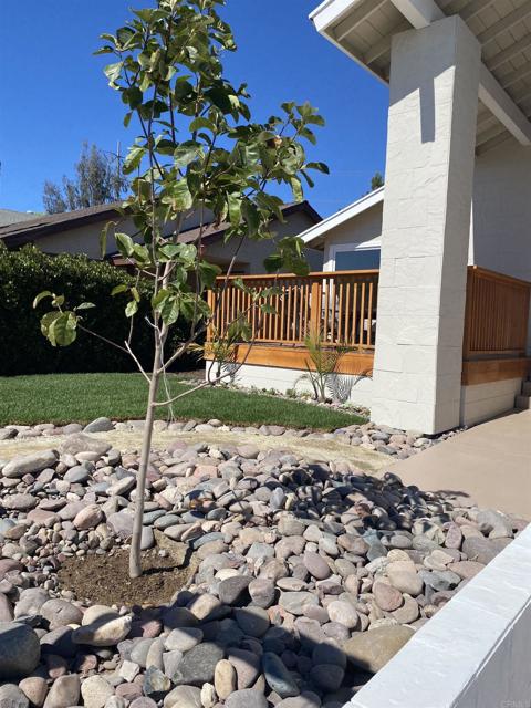 MLS #PTP2505867 image #29