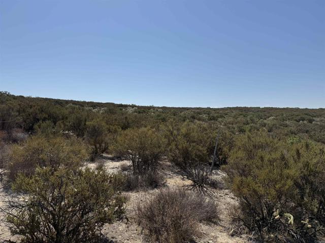 MLS #PTP2506036 image #2