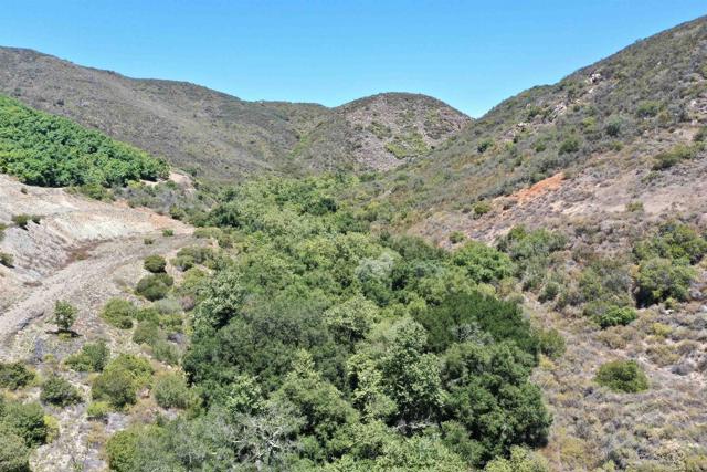 MLS #PTP2506290 image #7