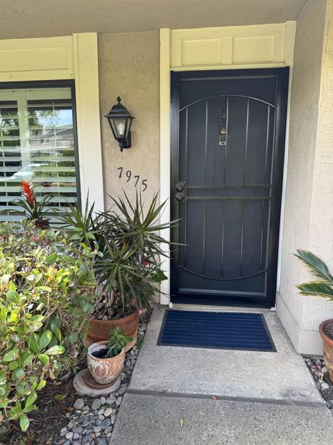 MLS #PTP2506291 image #19