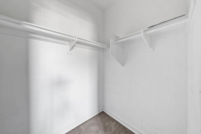 MLS #PTP2506314 image #15