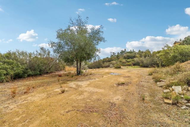 MLS #PTP2506460 image #20