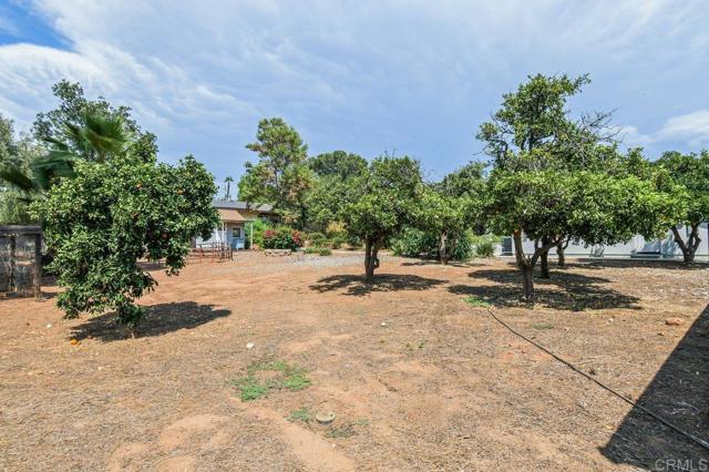 MLS #PTP2506519 image #38