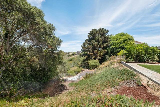 MLS #PTP2506580 image #32