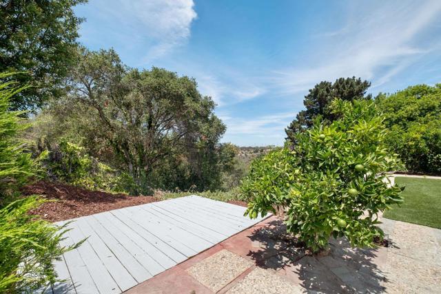 MLS #PTP2506580 image #33