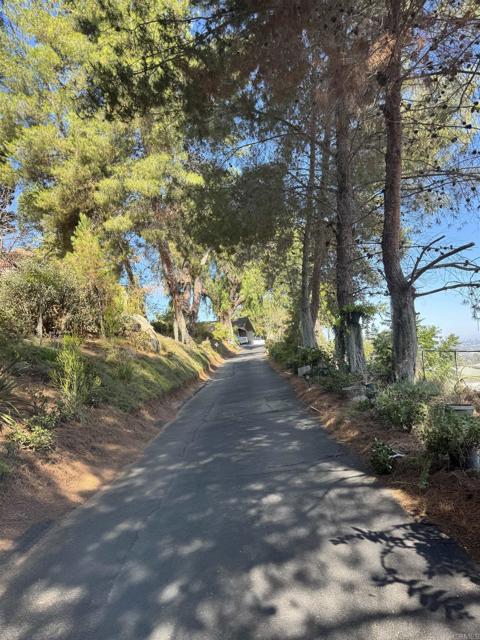 MLS #PTP2506686 image #2
