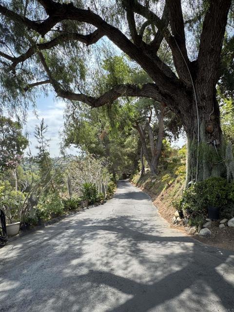 MLS #PTP2506686 image #3