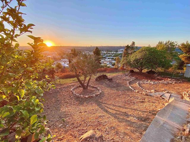 MLS #PTP2506715 image #21