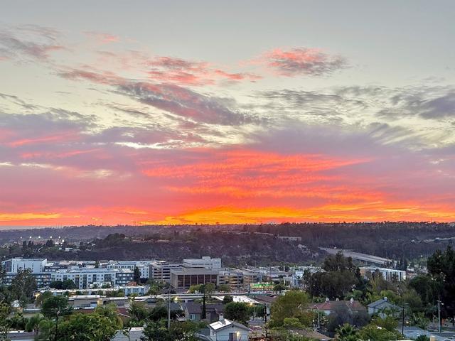 MLS #PTP2506715 image #22