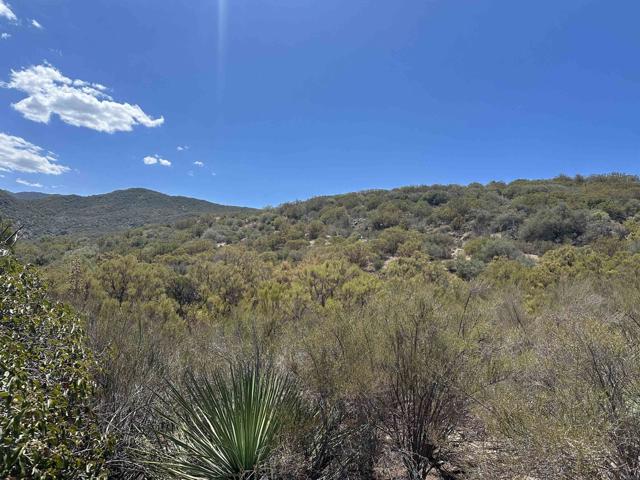 MLS #PTP2506753 image #3
