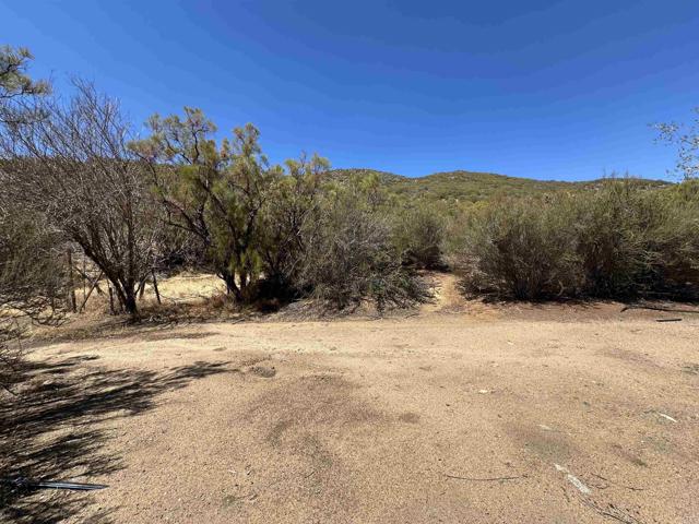 MLS #PTP2506753 image #6