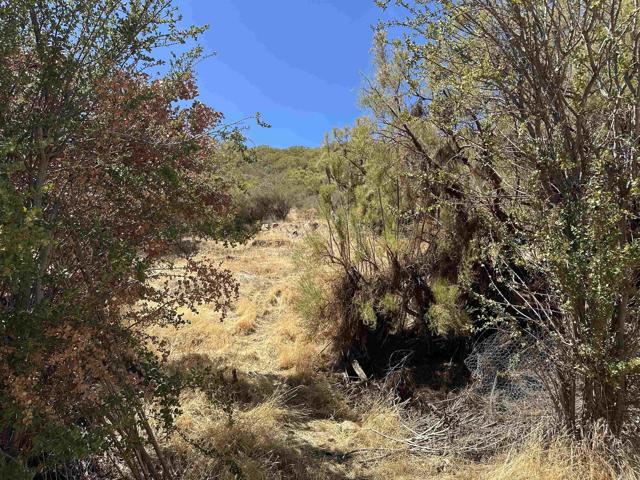 MLS #PTP2506753 image #7