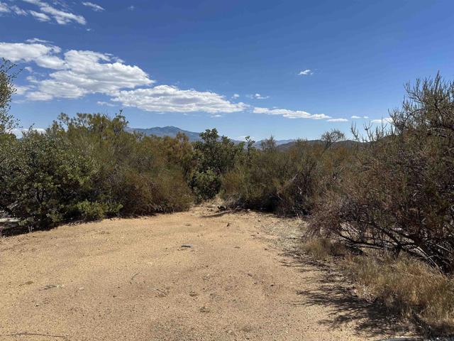 MLS #PTP2506753 image #8