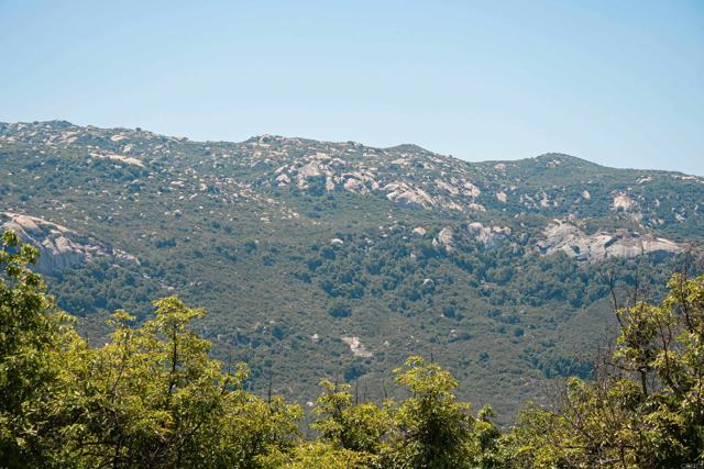 MLS #PTP2506755 image #27