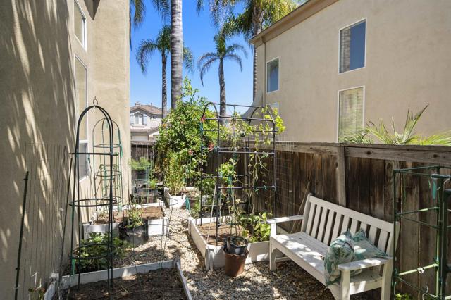 MLS #PTP2506776 image #42