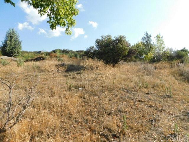 MLS #PTP2506820 image #2