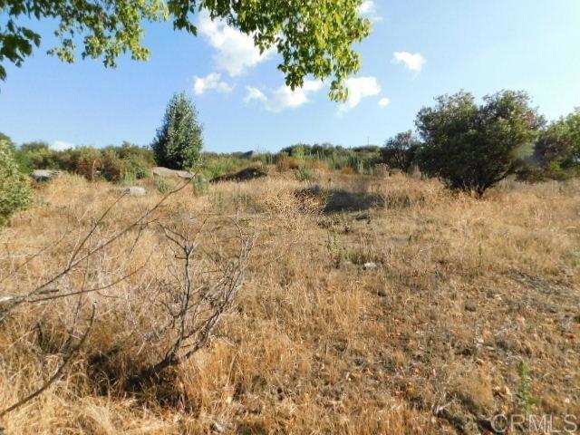 MLS #PTP2506820 image #3