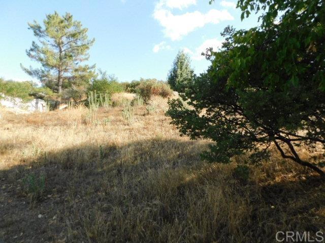 MLS #PTP2506820 image #5