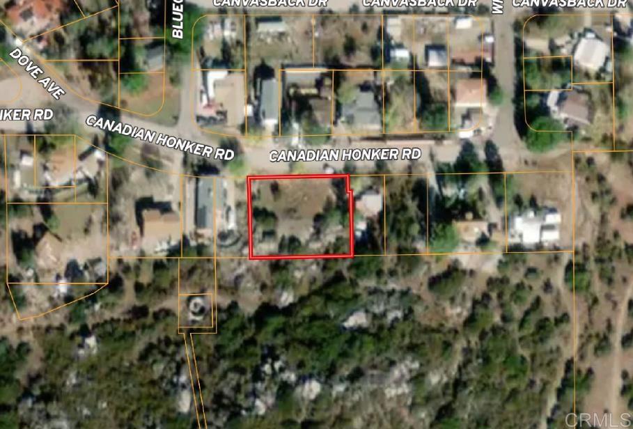 MLS #PTP2506820 image #6